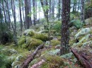 Finský přírodní park
