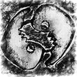 Embrya